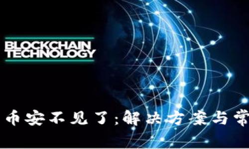 tpWallet充币安不见了：解决方案与常见问题解析