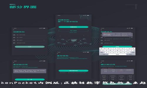 TokenPocket内测版：区块链数字钱包的未来趋势