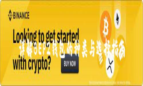 详解BEP2钱包的种类与选择指南