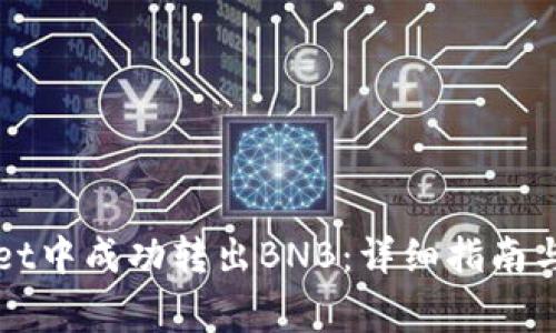 如何在tpWallet中成功转出BNB：详细指南与常见问题解答