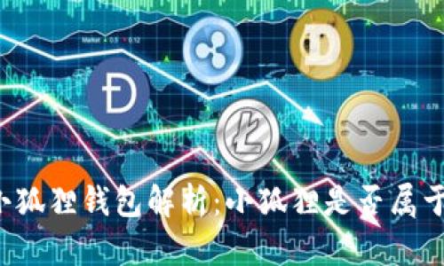 ### 小狐狸钱包解析：小狐狸是否属于冷钱包？