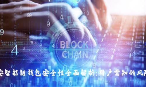 : TP币安智能链钱包安全性全面解析：用户需知的风险与对策