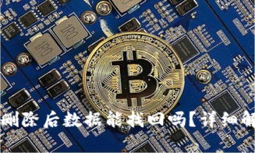 tpWallet钱包删除后数据能找回吗？详细解析与解决方案