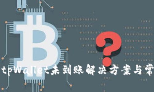 火币提现到tpWallet未到账解决方案与常见问题解析