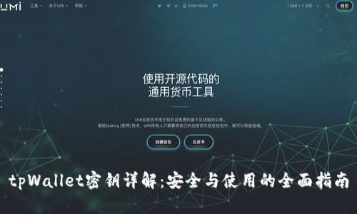 tpWallet密钥详解：安全与使用的全面指南