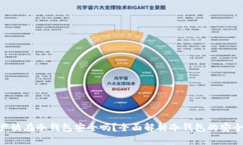 500万资产放在冷钱包安全吗？全面解析冷钱包的安全性与风险