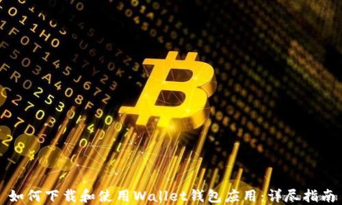 
如何下载和使用Wallet钱包应用：详尽指南