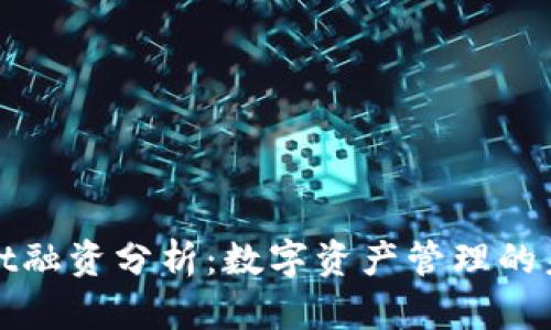 tpWallet融资分析：数字资产管理的未来趋势