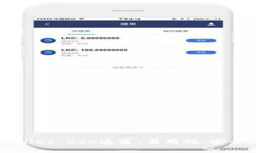 深入解析tpWallet BSC通道：易用性、安全性与未来展望