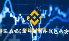  冷钱包卸载后币还在吗？