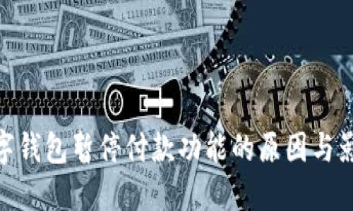 数字钱包暂停付款功能的原因与影响