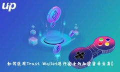 如何使用Trust Wallet进行安