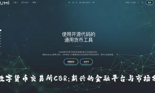 : 数字货币交易所CBR：新兴的金融平台与市场分析