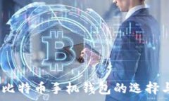   全面解析：比特币手机钱