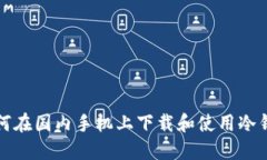 如何在国内手机上下载和