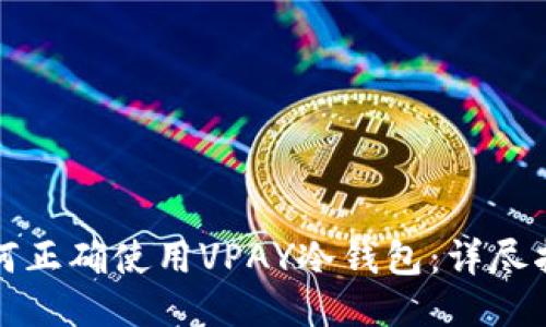 如何正确使用VPAY冷钱包：详尽指南