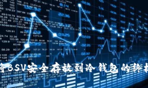 如何将BSV安全存放到冷钱包的终极指南