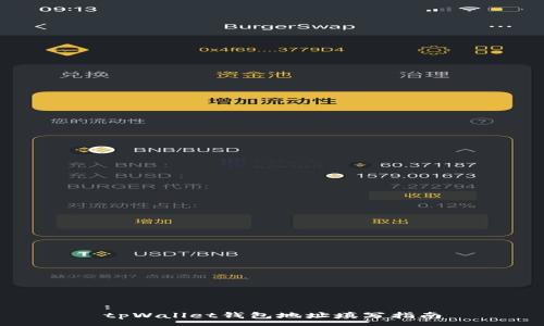 :
tpWallet钱包地址填写指南