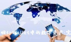 如何找回tpWallet中的数字资