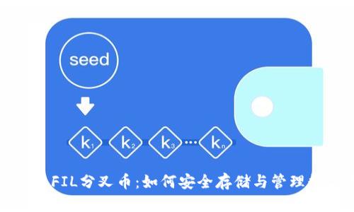 冷钱包与FIL分叉币：如何安全存储与管理数字资产