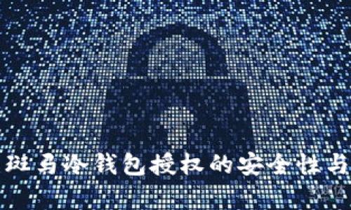 全面解析斑马冷钱包授权的安全性与操作指南