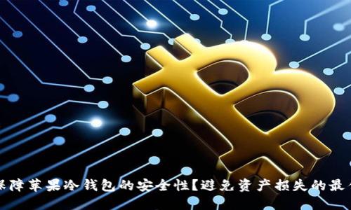 如何保障苹果冷钱包的安全性？避免资产损失的最佳实践