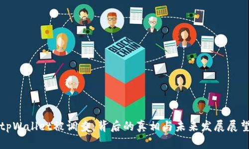 tpWallet被调查：背后的真相与未来发展展望