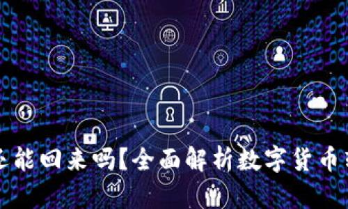 tpWallet转错地址还能回来吗？全面解析数字货币转账错误的解决方案