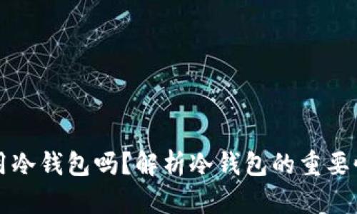 国内还能使用冷钱包吗？解析冷钱包的重要性及其安全性