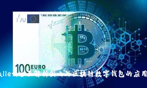 : tpWallet：全面解析国内外区块链数字钱包的应用与发展