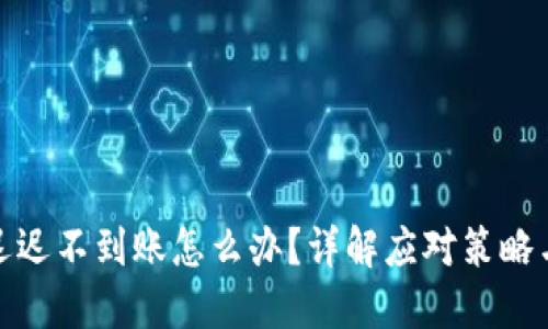 : 冷钱包迟迟不到账怎么办？详解应对策略与解决方案