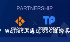 如何在TP Wallet上通过BSC链