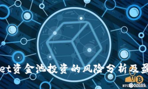 tpWallet资金池投资的风险分析及盈利潜力
