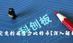 中本聪究竟持有多少比特