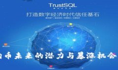 狗狗币未来的潜力与暴涨