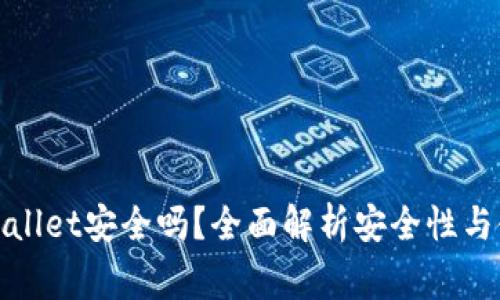 安卓下载tpWallet安全吗？全面解析安全性与使用注意事项