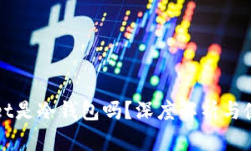 tpWallet是冷钱包吗？深度解析与使用指南