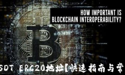 
如何查询USDT ERC20地址？快速指南与常见问题解答