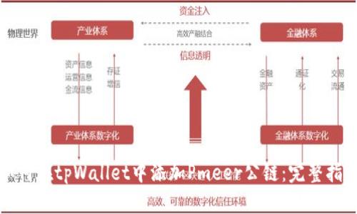 如何在tpWallet中添加Pmeer公链：完整指南