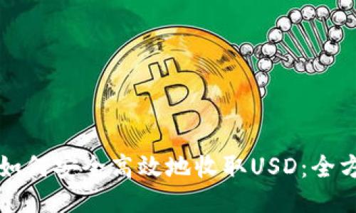 冷钱包如何安全高效地收取USD：全方位指南