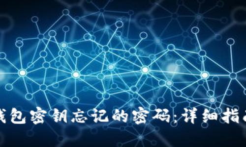 如何找回冷钱包密钥忘记的密码：详细指南与解决方案