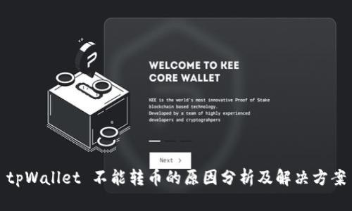 tpWallet 不能转币的原因分析及解决方案
