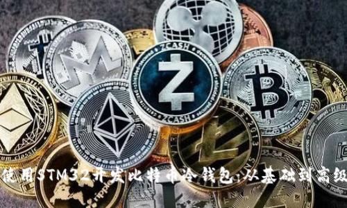 如何使用STM32开发比特币冷钱包：从基础到高级指南