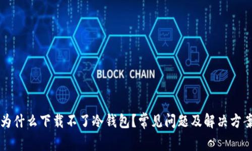 为什么下载不了冷钱包？常见问题及解决方案