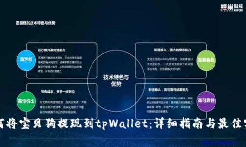 如何将宝贝狗提现到tpWallet：详细指南与最佳实践