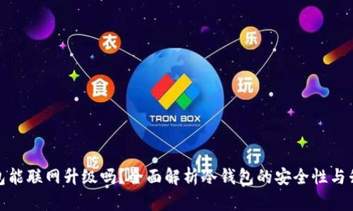 : 冷钱包能联网升级吗？全面解析冷钱包的安全性与升级方式