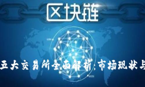 国内币圈五大交易所全面解析：市场现状与未来发展