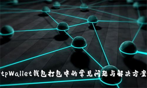tpWallet钱包打包中的常见问题与解决方案