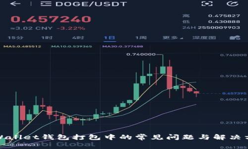 tpWallet钱包打包中的常见问题与解决方案