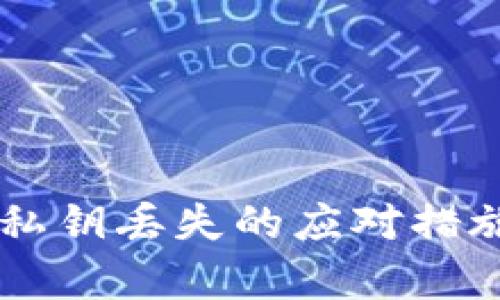 币圈冷钱包私钥丢失的应对措施与恢复指南